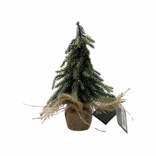 Pino miniatura "Foresta"