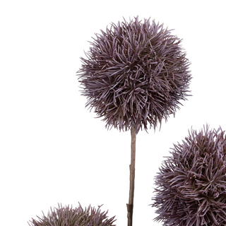 Fiori cappa fleur plum